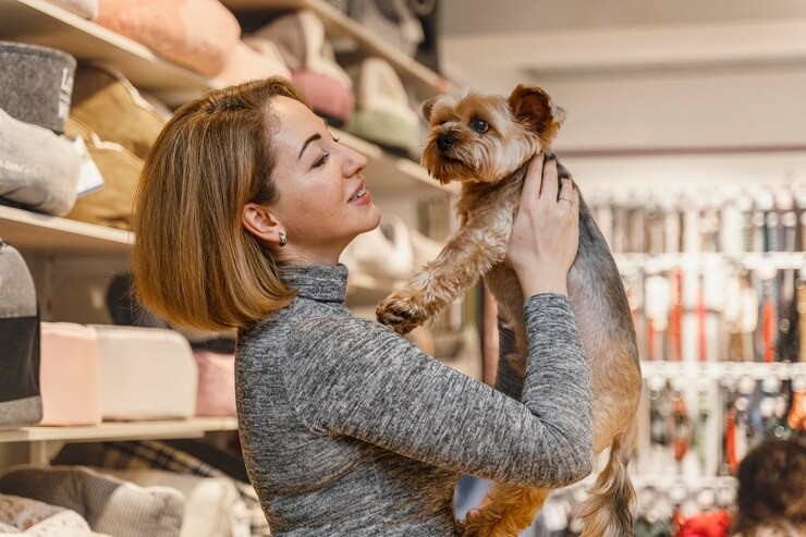 Imposto para pet shop: entenda como funciona